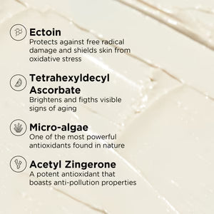 IMAGE DAILY PREVENTION protect and refresh mist SPF 30
