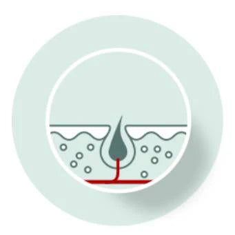 1. Anagen (Growing Phase)