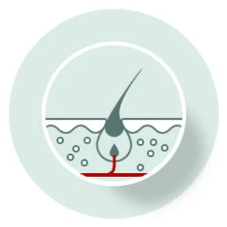 3. Telegen (Resting Phase)